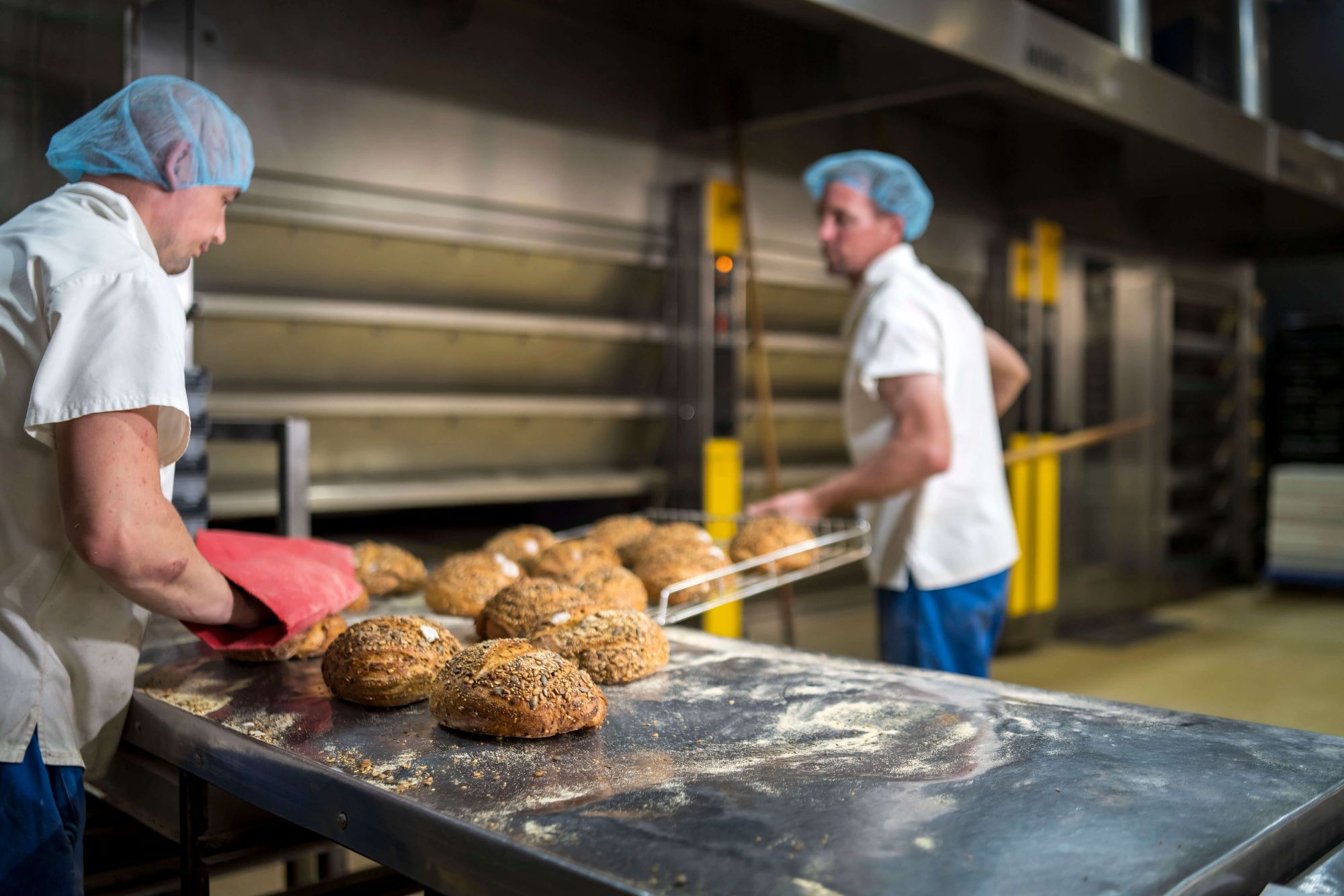 Baking the best breads | About Reeve the Baker